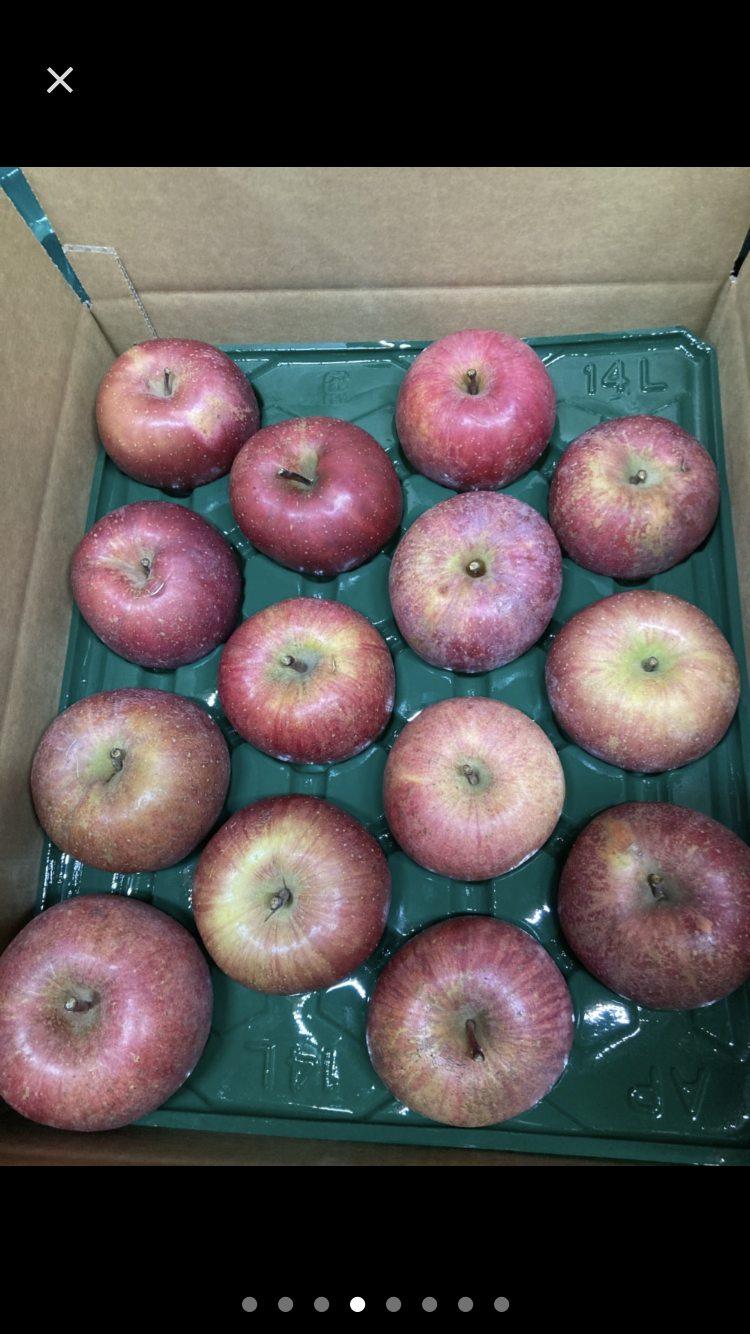 ちゃんこ岩手県産 ご家庭用2箱20kg 完熟サンふじ大玉・中玉 家庭用のりんご🍎サンふじ🍎大玉～中玉サイズ14玉入り ｜ 果物