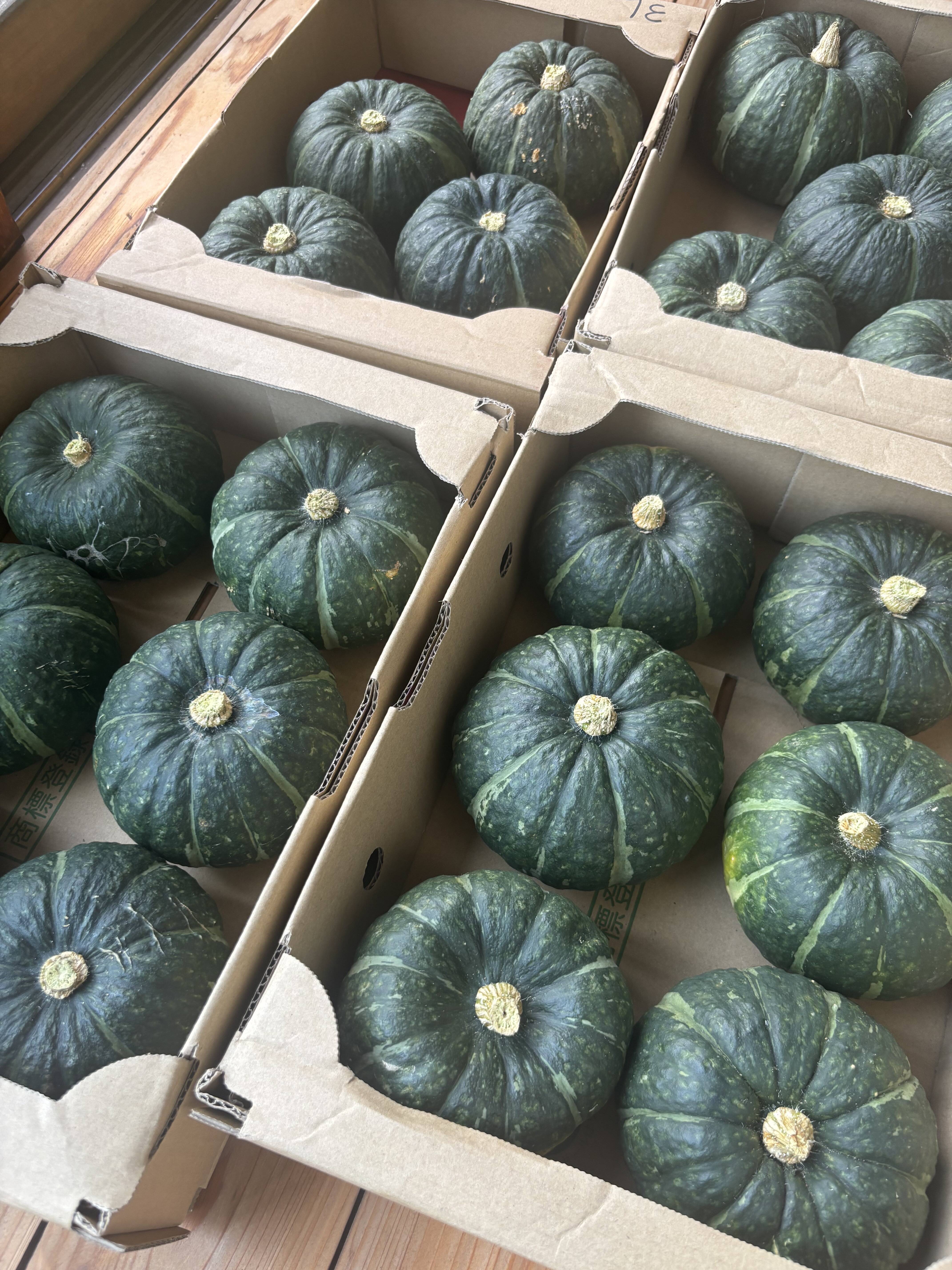 坊ちゃんカボチャ 手のひらサイズのかわいいミニカボチャ！ 1kg(3個