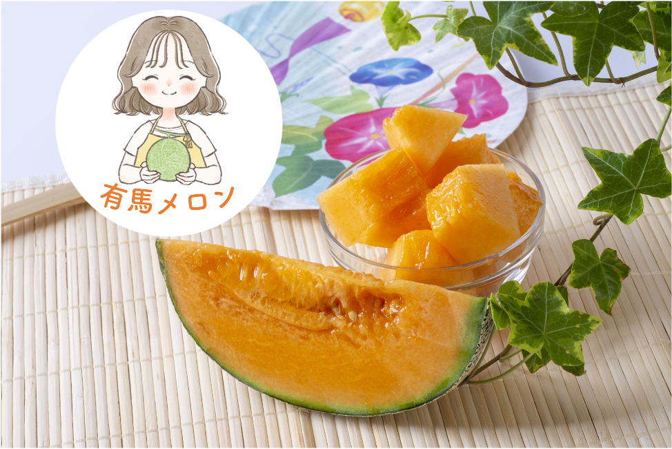 県知事賞受賞】有馬温泉の麓産 特秀品 赤肉メロン🍈 大玉5L 2玉｜土