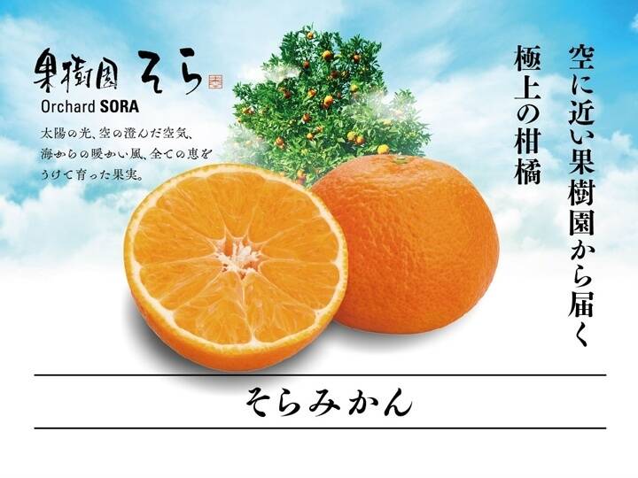 みかん そらみかん 天空の果樹園 愛媛産みかん 訳あり 5kg：愛媛県産のみかん・柑橘類｜食べチョク｜産地直送(産直)お取り寄せ通販 -  農家・漁師から旬の食材を直送