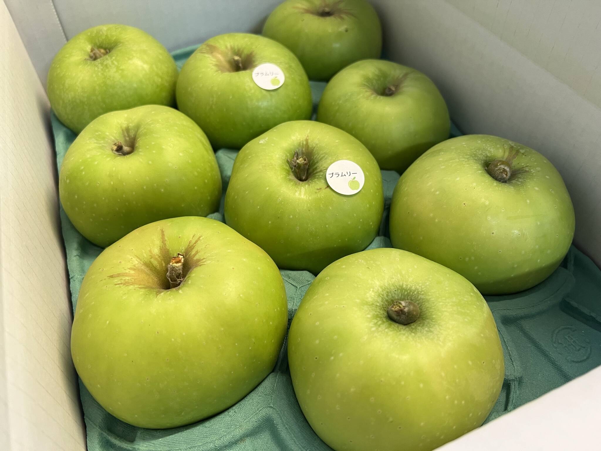 予約販売】クッキングアップル！ブラムリー 約3kg(8～12個)：岩手県産