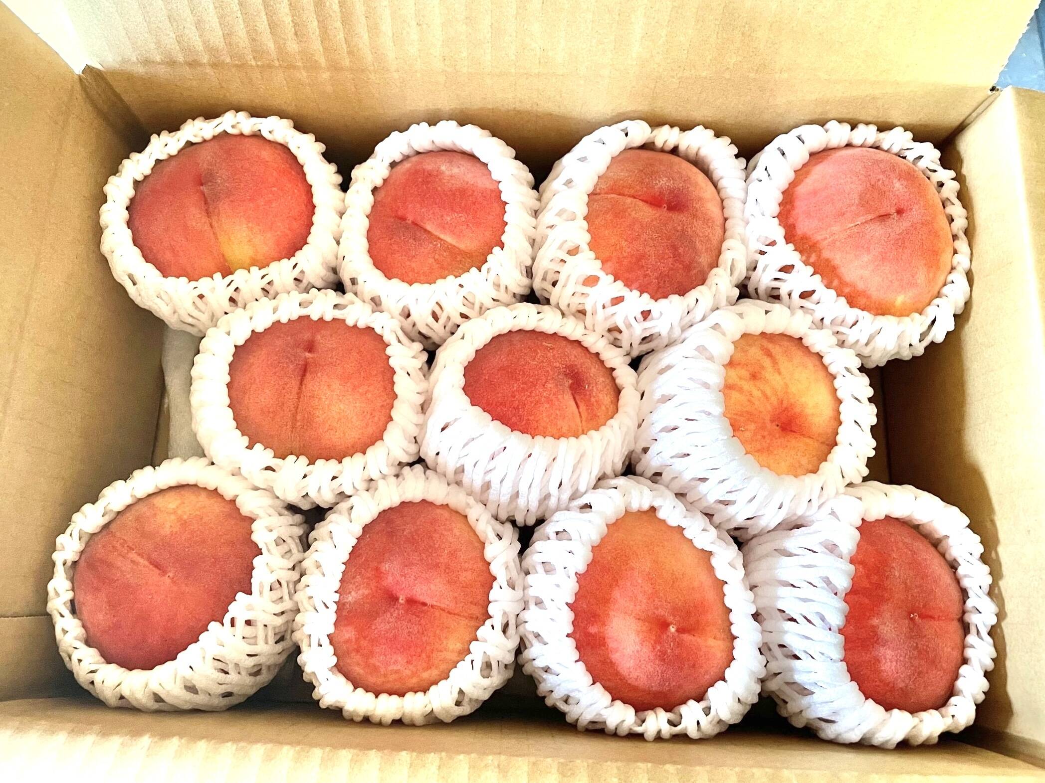 ご家庭用 桃 あかつき 小玉 約2kg 数量限定：長野県産のあかつき｜食べ