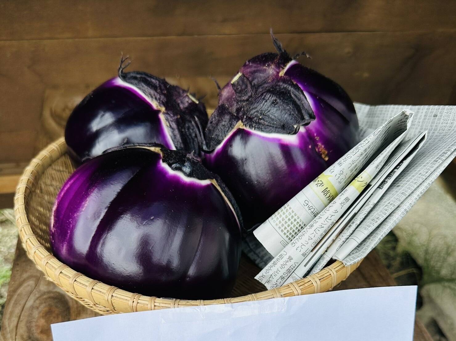 e9274253de1d8fd60655ded6bfad9c