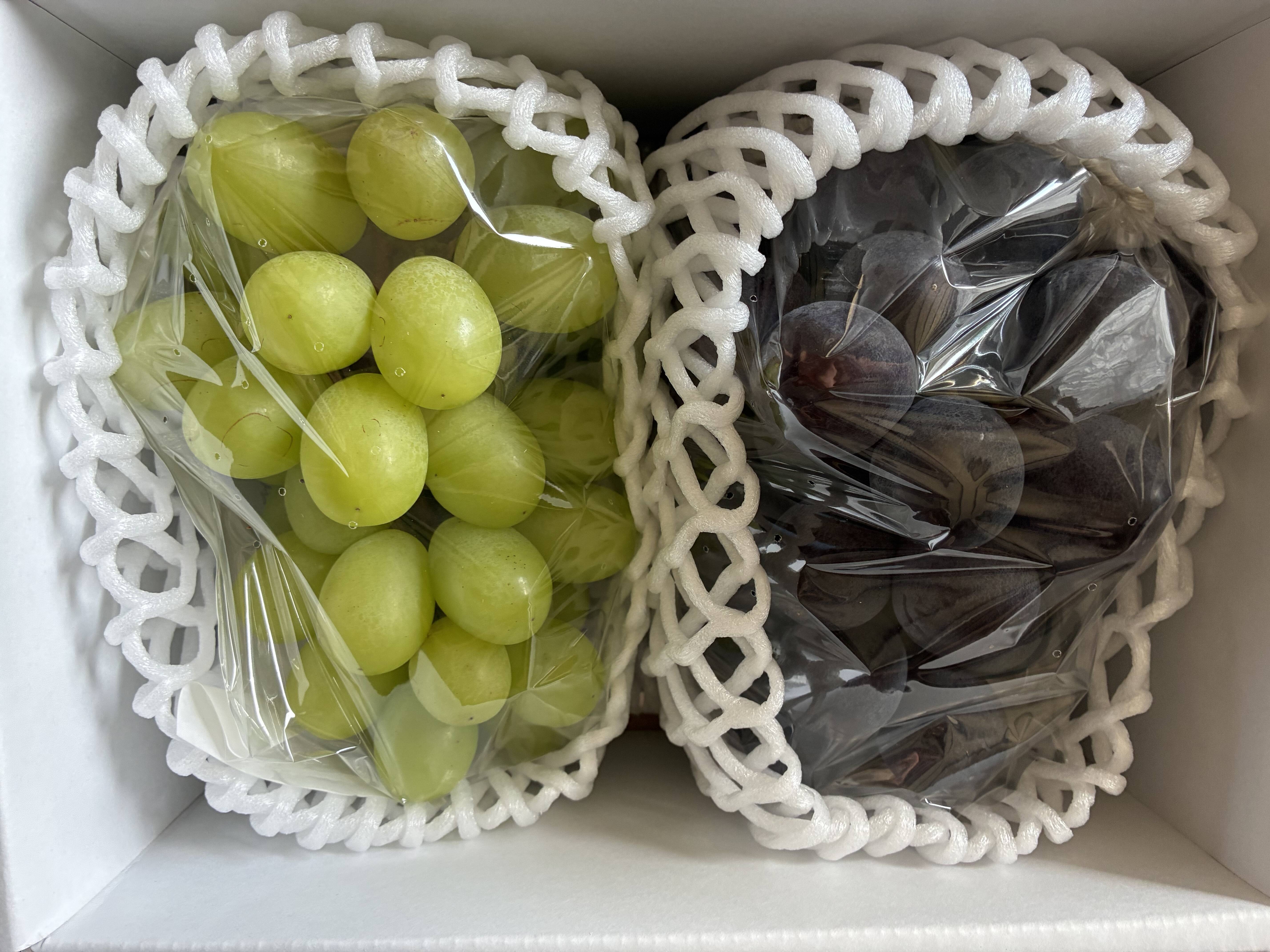 ピオーネ🍇シャインマスカット2個入り期間限定 農薬削減品で喜ばれてい