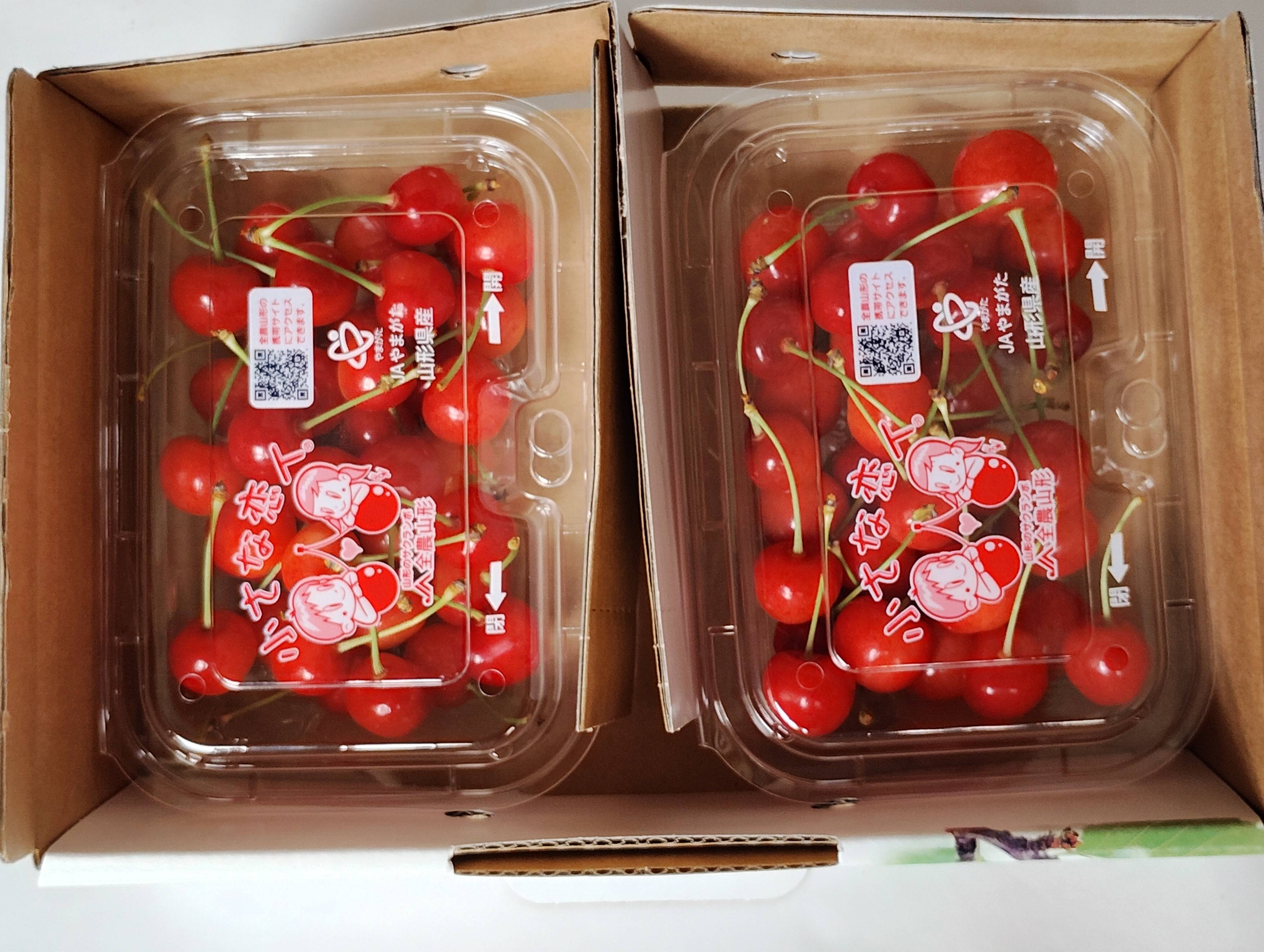 特別セール】朝採りさくらんぼ佐藤錦200gパック2ケ入り化粧箱入り 