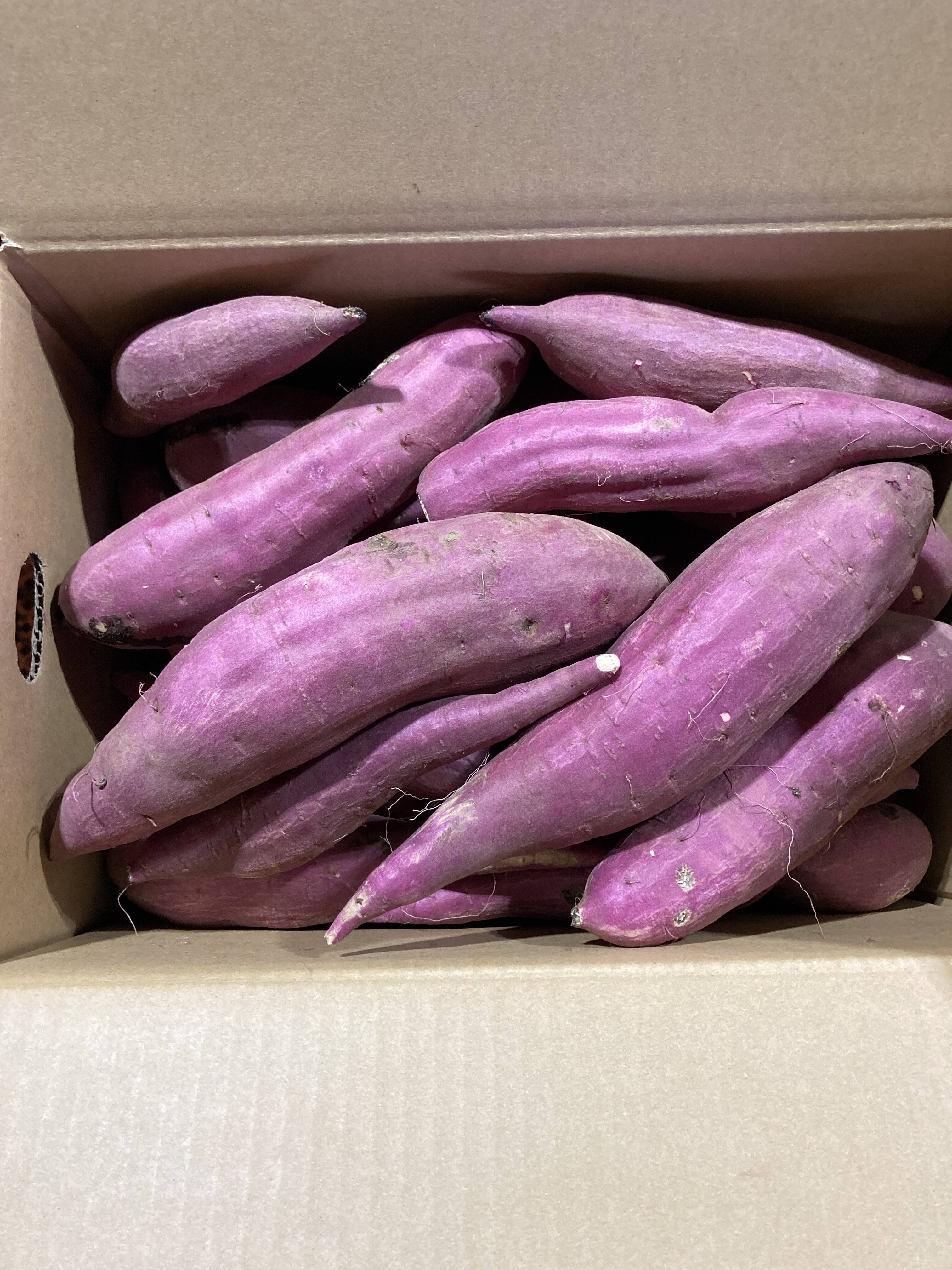 新品種】訳あり！新物 あまはづき 10kg：茨城県産のあまはづき｜食べ