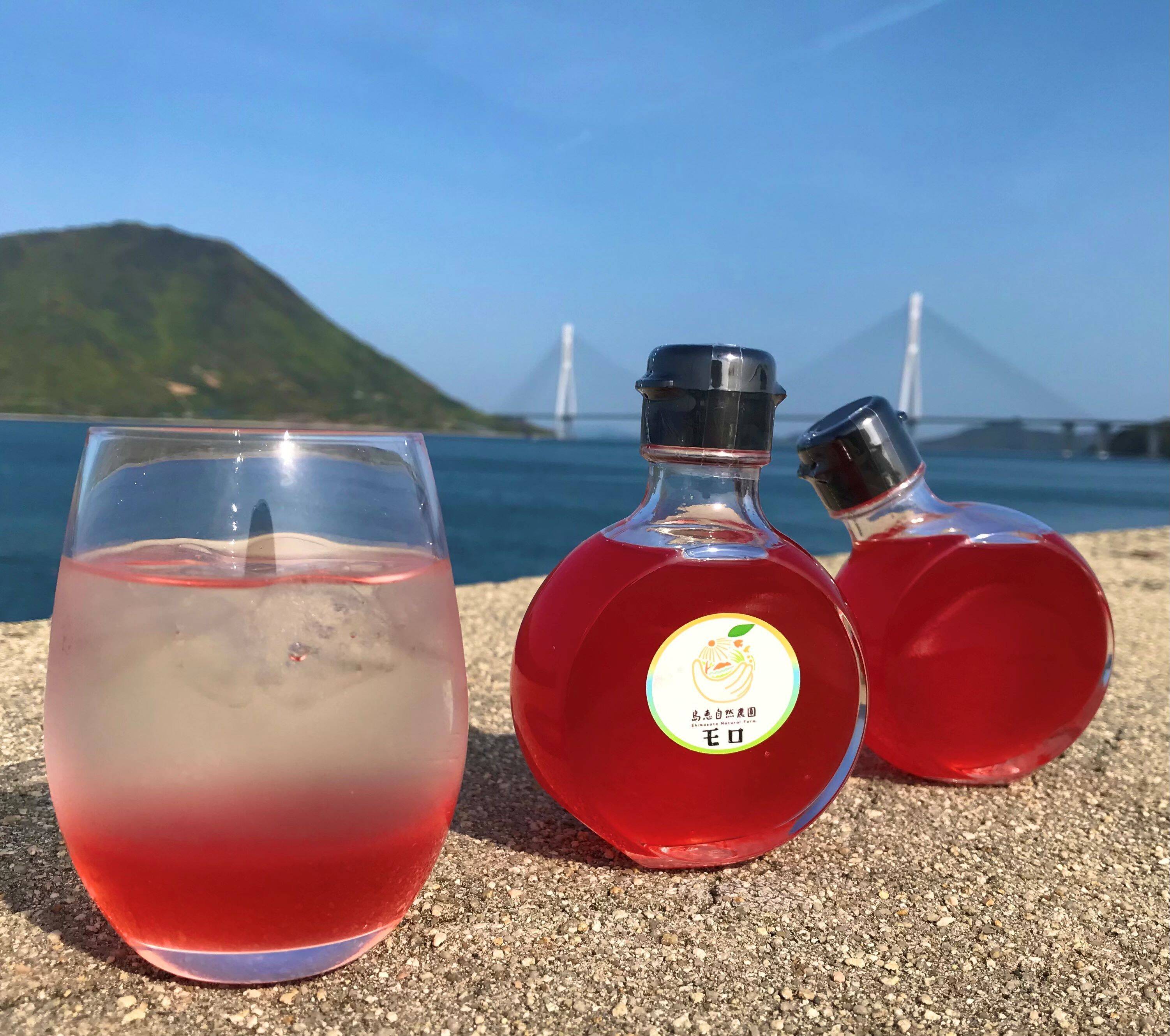 無添加・農薬・化学肥料等不使用栽培】コーディアルシロップ ブラッド