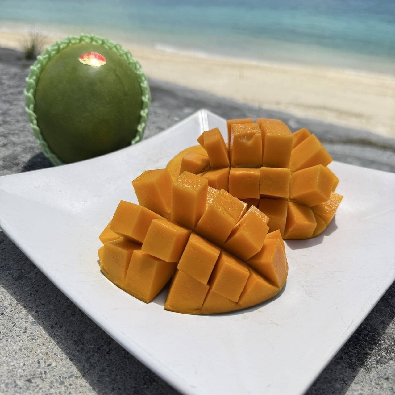 ご家庭用】沖縄県産キーツマンゴー1kg（1-2玉）：沖縄県産のキーツ