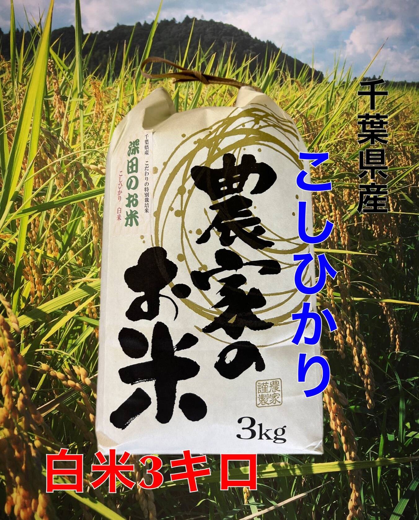 7年度産 白米3キロ】☆季節の野菜プレゼント付☆クラフト袋入 ふっくら