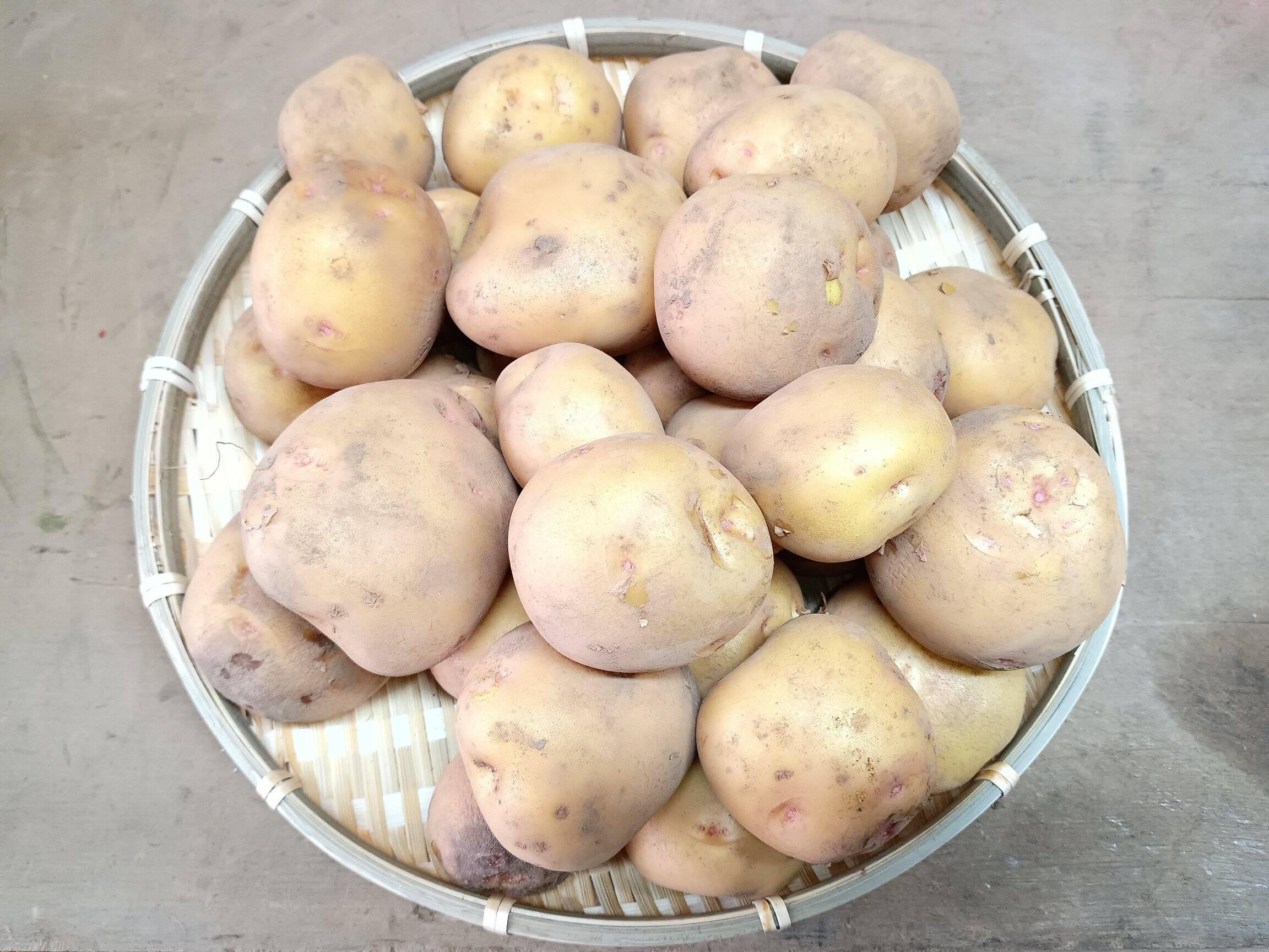 新じゃがいも キタアカリ 10kg箱込 ML 徳島県産 農家直送 - メルカリ