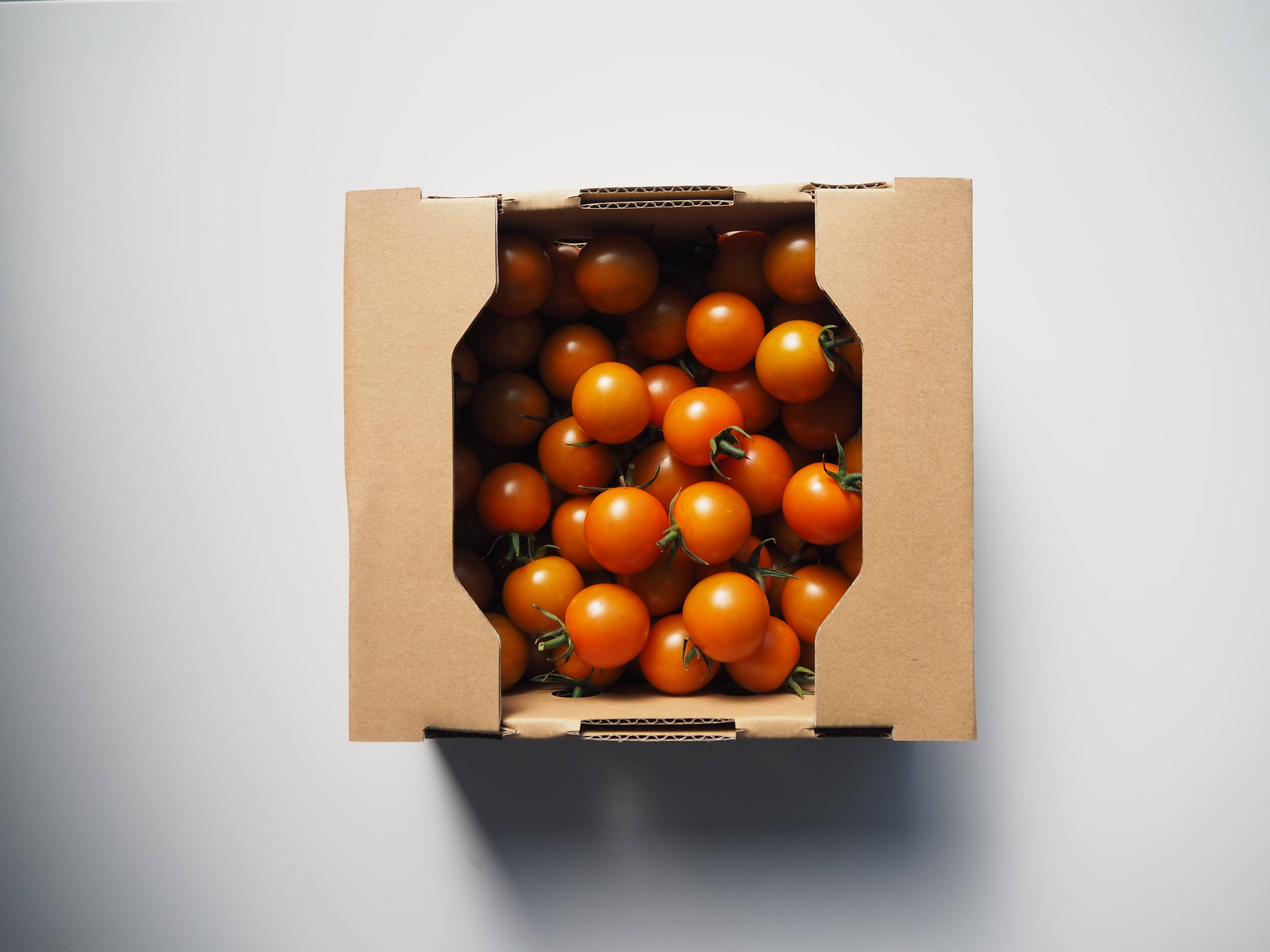 ミニトマト「シュガープラム」3kg プラムトマト 3kg 甘いです！常温便