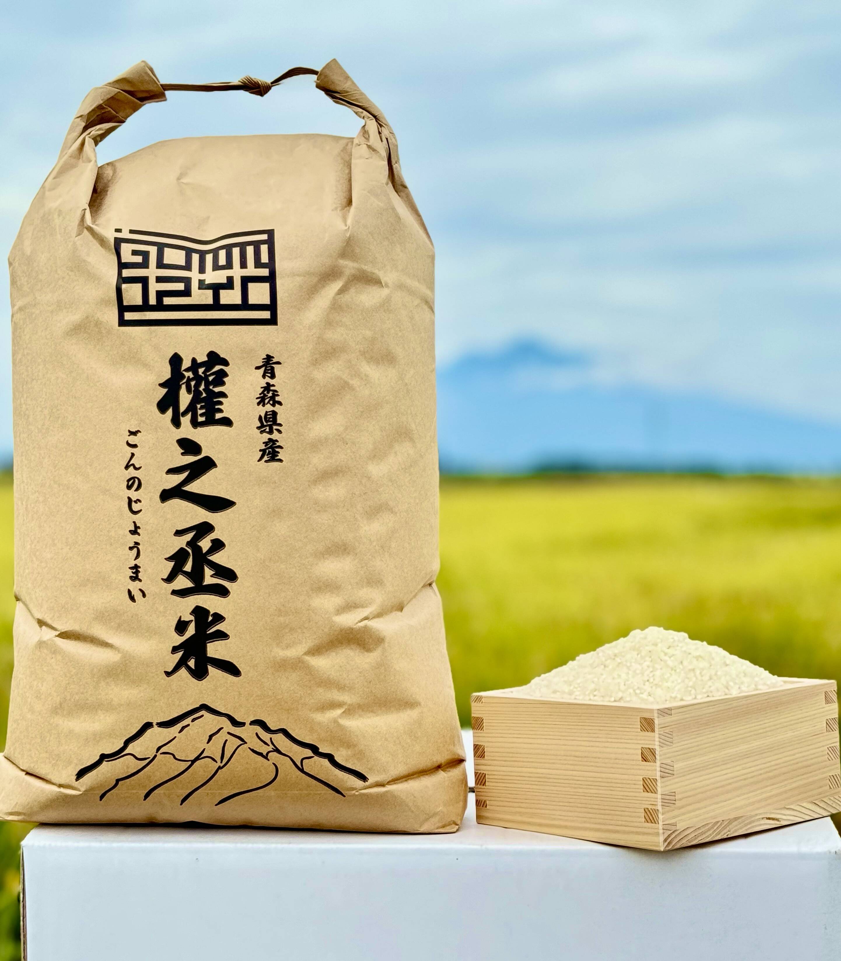 【セール中❗️早いもの勝ち‼️】青森県産　まっしぐら 5kg×2個 青森県産米 【まっしぐら】 5㎏（白米） 2025年産：青森県産のお米