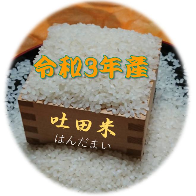 夢つくし玄米 自然栽培米24kg（お友達産） - 米