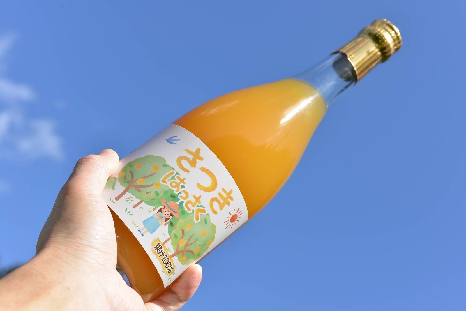 2025年搾りたて☆ジュースでいつでもあの味を！爽やかで濃厚