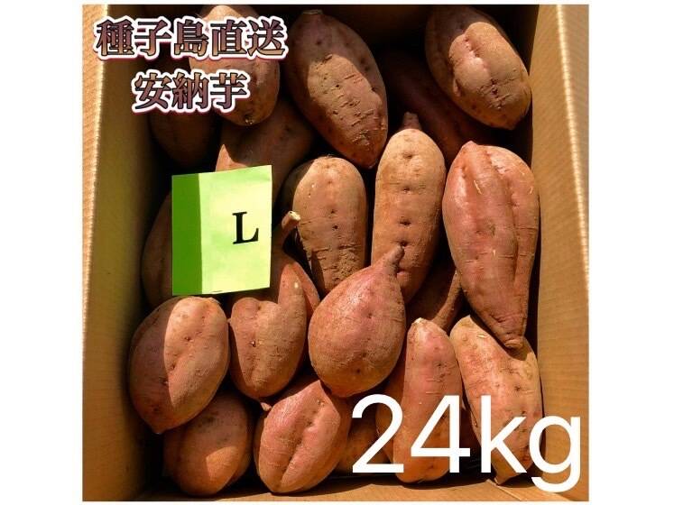 【絶品】大人気！安納芋 Lサイズ 24kg(箱別)