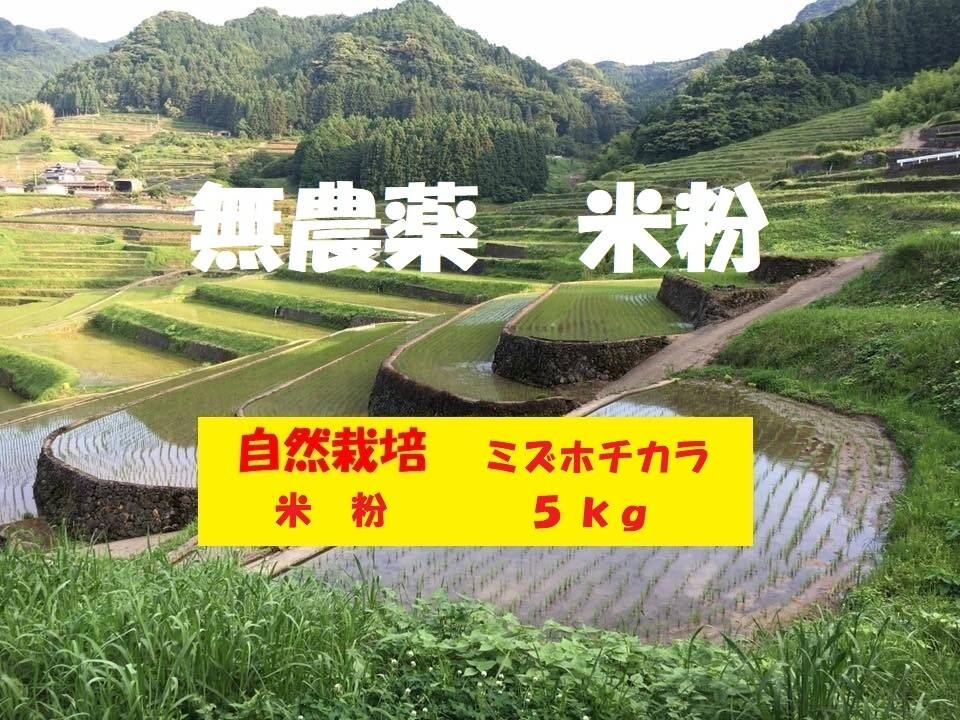 激安！特価品 年始5％OFF！】【令和6年産】自然栽培「ミズホチカラ」米粉 米・雑穀・粉類