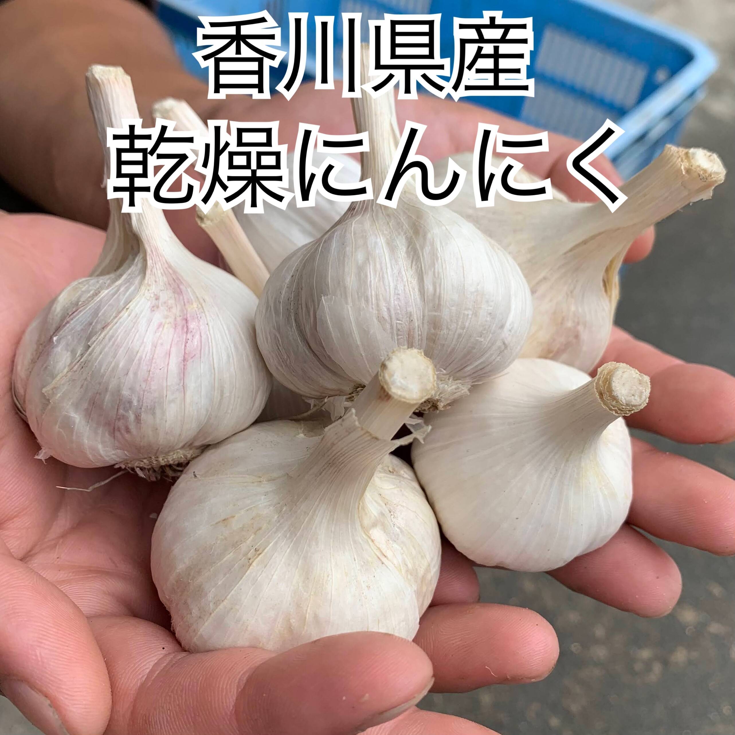 ニンニク乾燥済み香川県産10kg