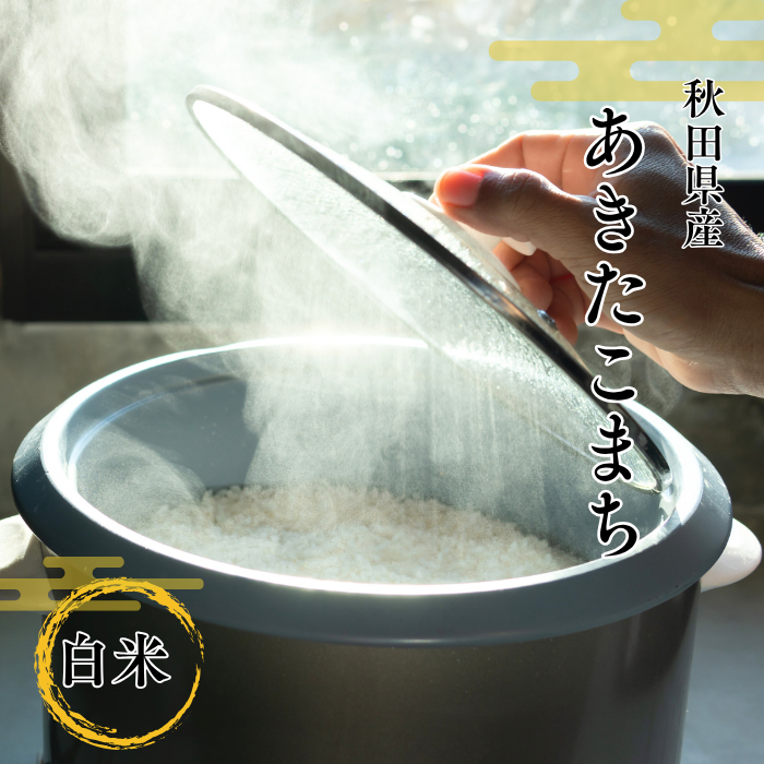 あきたこまち 【白米】5kg 新米 R7年度産 特Aランク産地・秋田県 湯沢