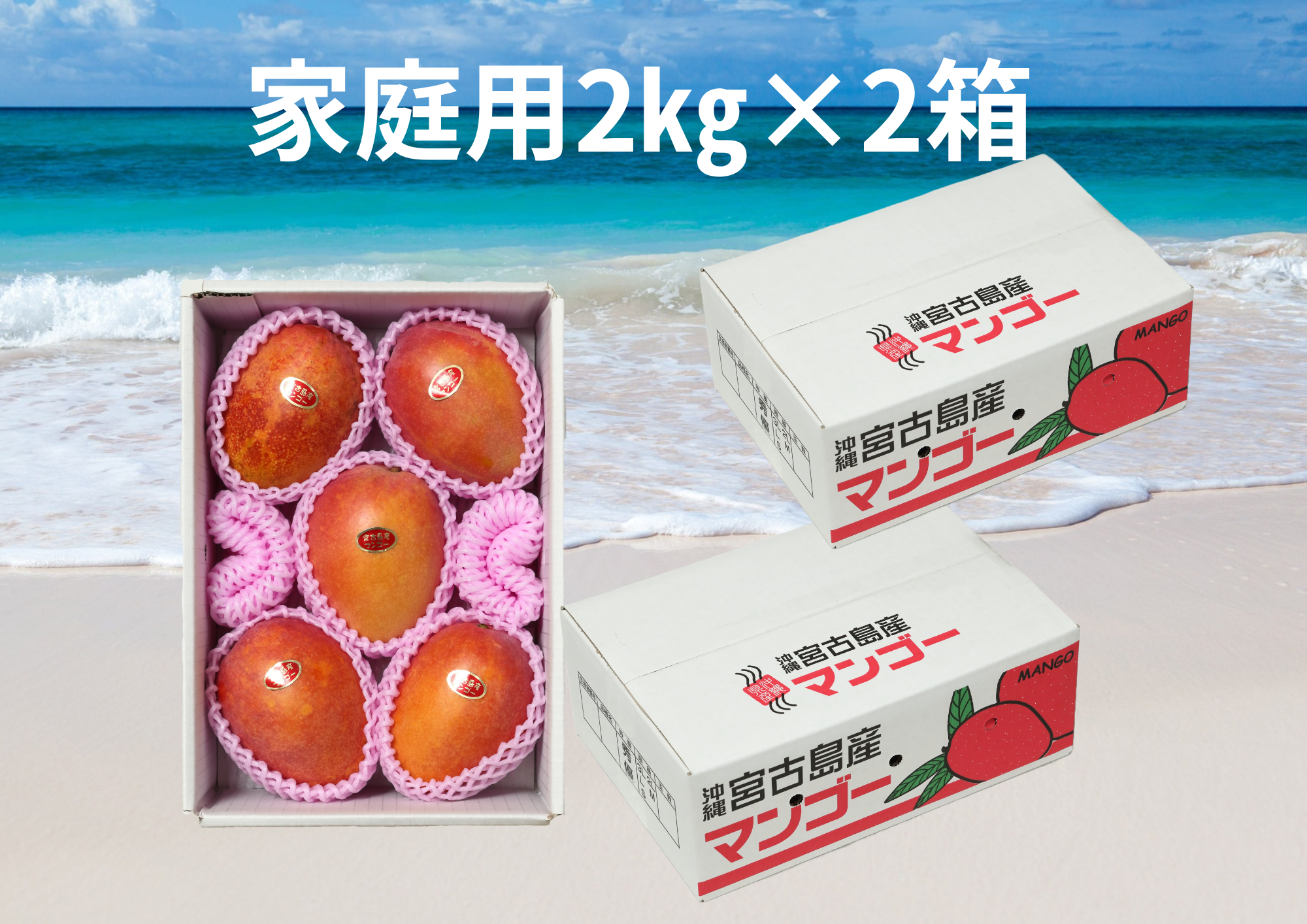 完熟マンゴー 家庭用2.6キロ 家庭用2箱買い】宮古島産完熟マンゴー2㎏(4～6玉)×2箱：沖縄県産の