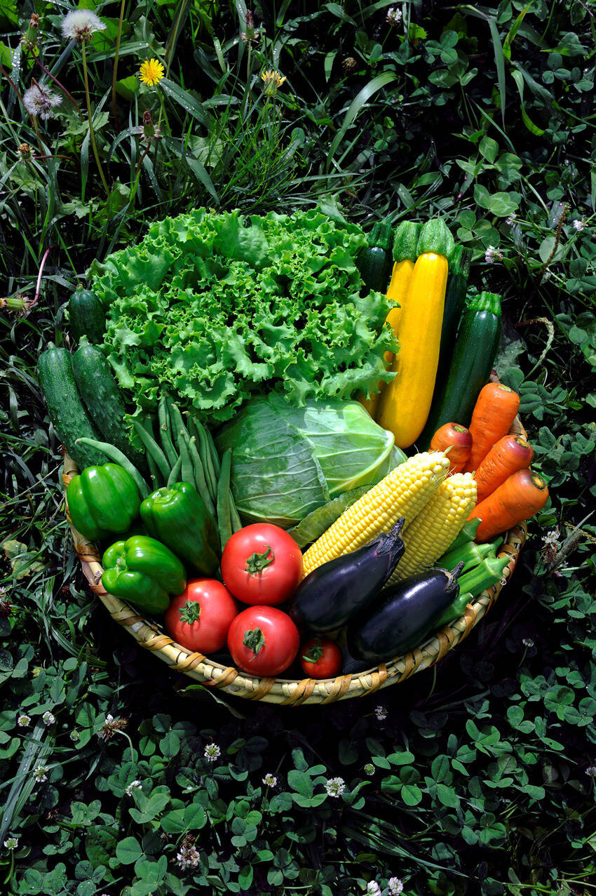 たくみのほほ笑み野菜セットM（少量10種）：長野県産の野菜セット