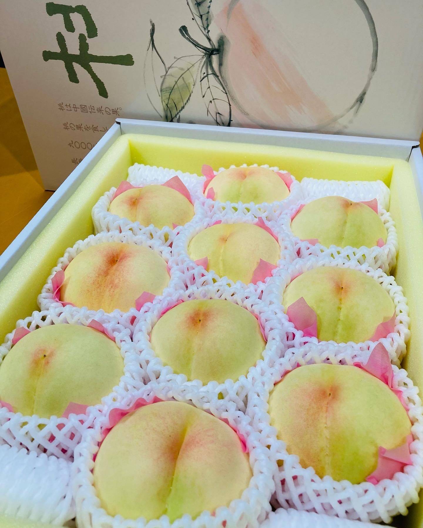 🍑おかやまの白桃 贈答用 大箱【8〜16玉】【予約販売】：岡山県産の