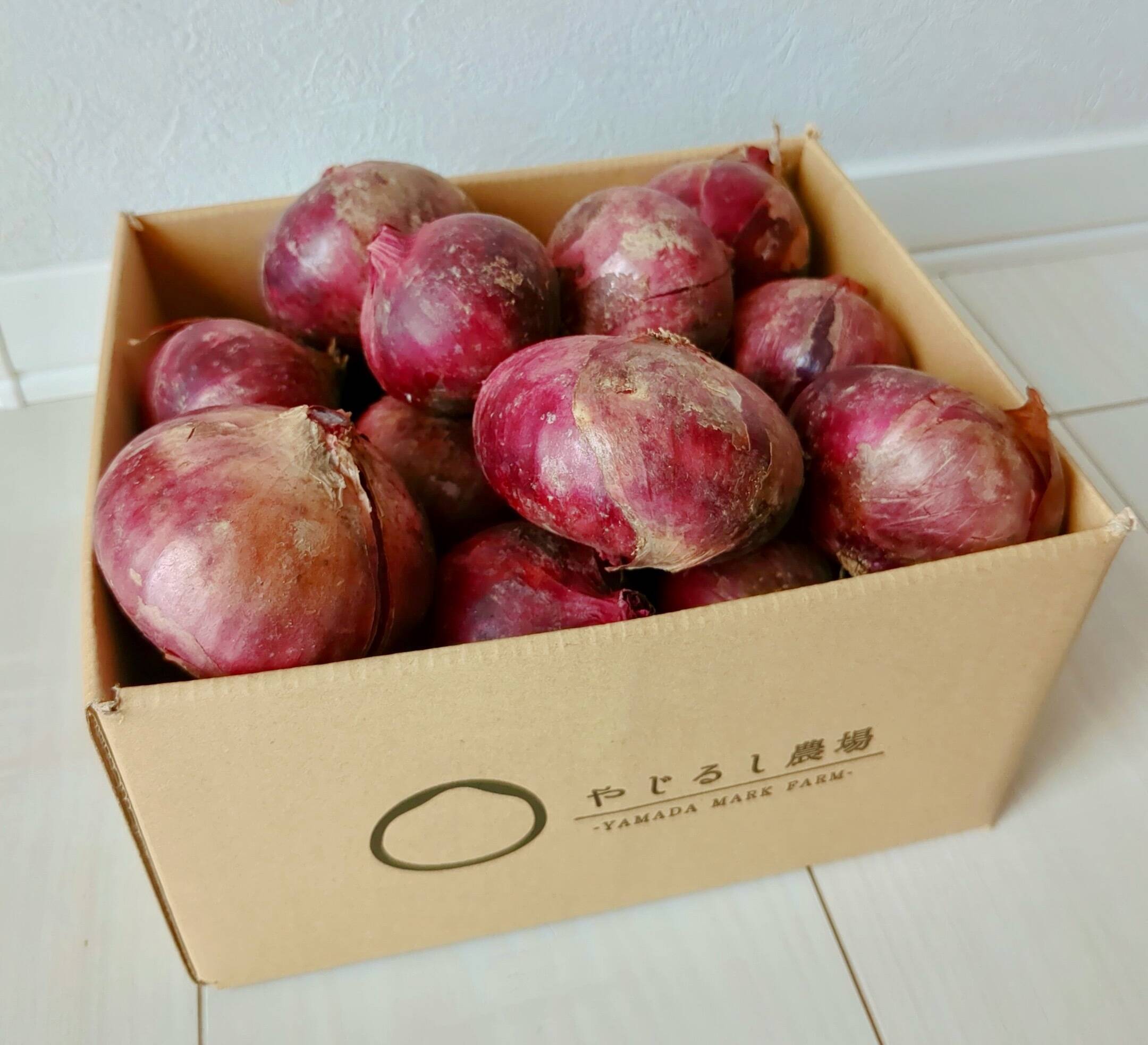 ☆箱いっぱい大容量☆】サク甘！赤たまねぎ2kg詰め：新潟県産のその他