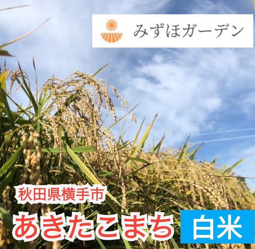定期購入再開】令和7年産あきたこまち 白米 5kg 秋田県産 特別栽培米