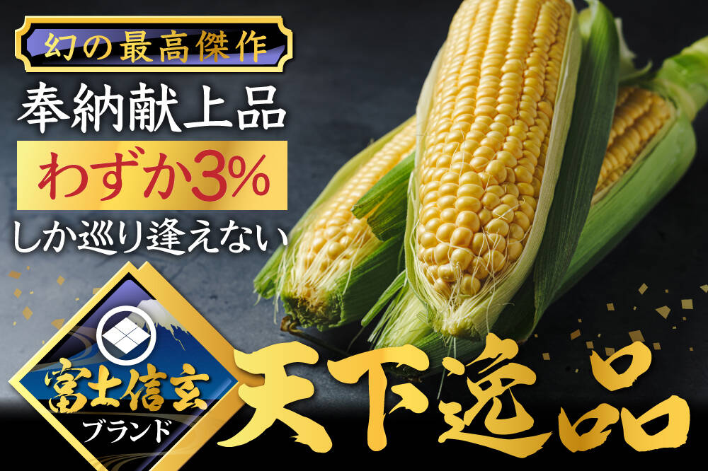 最高級贈答とうもろこし【8月上旬予約お中元】今年逃したら1年待ち！わずか3％しか収穫出来ない超希少『天下逸品』富士信玄とうもろこしブランド最高峰朝採り約1.5kg