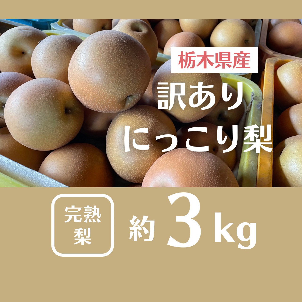 【訳あり】栃木県のブランド梨(にっこり)　3㎏