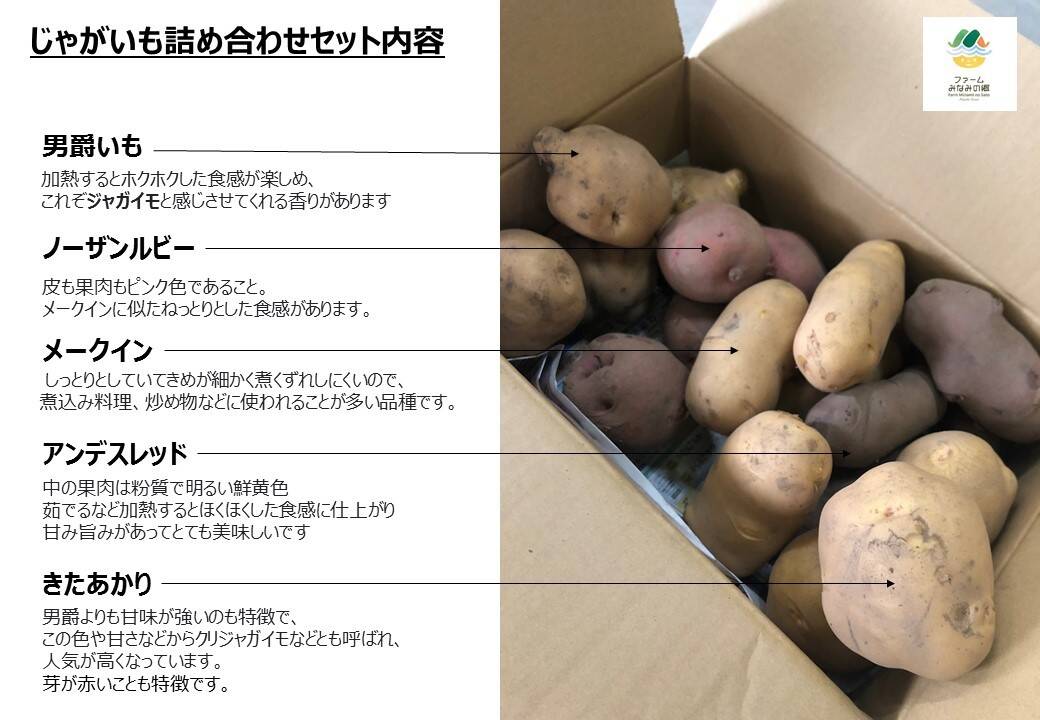 農薬不使用】じゃがいも5種食べ比べお試しセット！：新潟県産の野菜