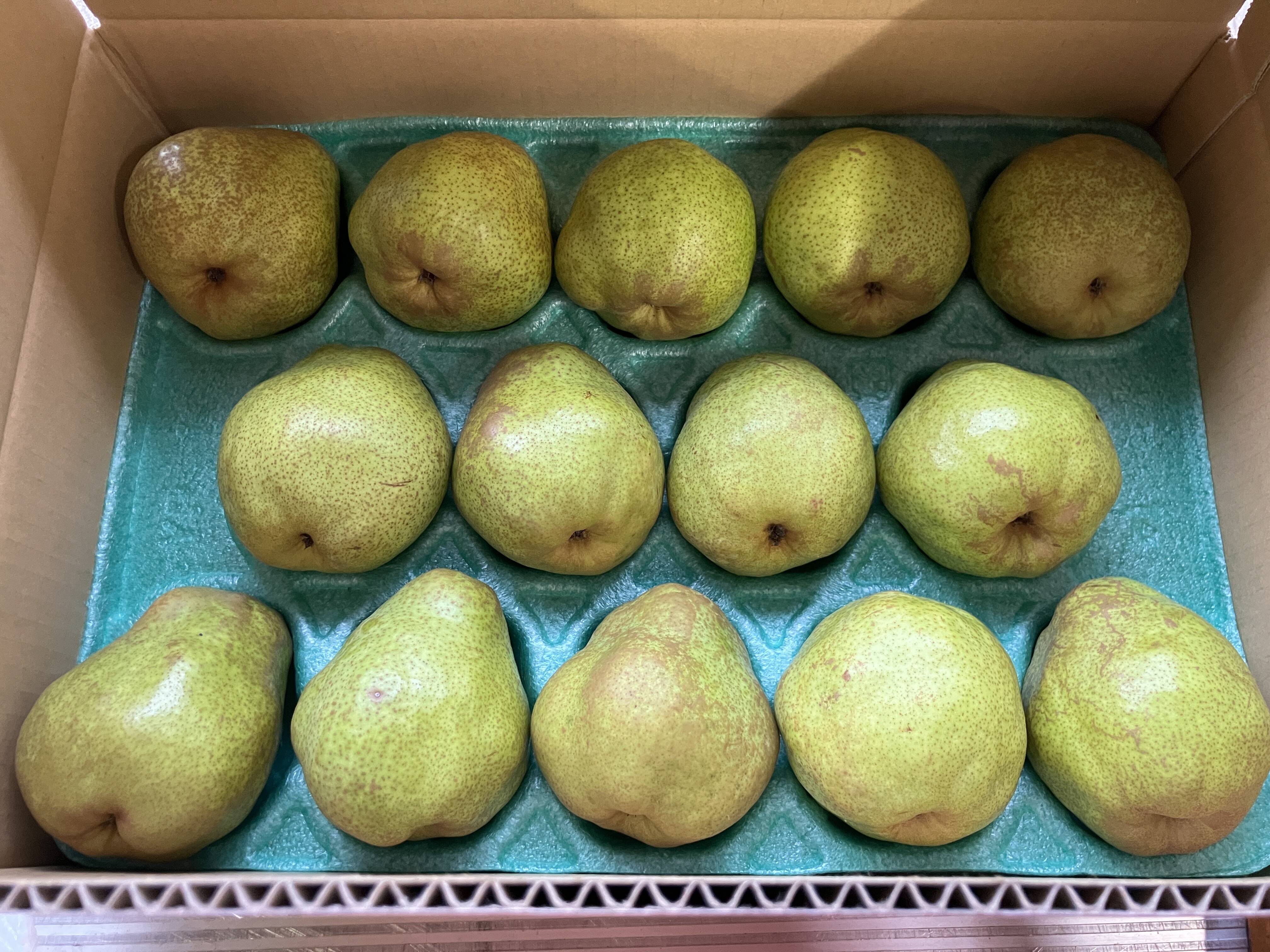 フランスラフ　 元祖食品サンプル屋「Replica Food Clock ラ・フランス」