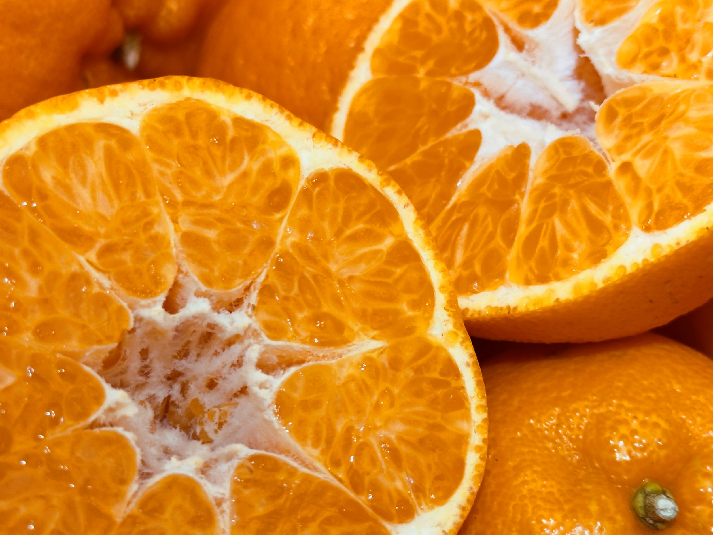 プチプチ食感♪＆種なし】太田ぽんかん《ご家庭用 5kg》｜サイズ混合