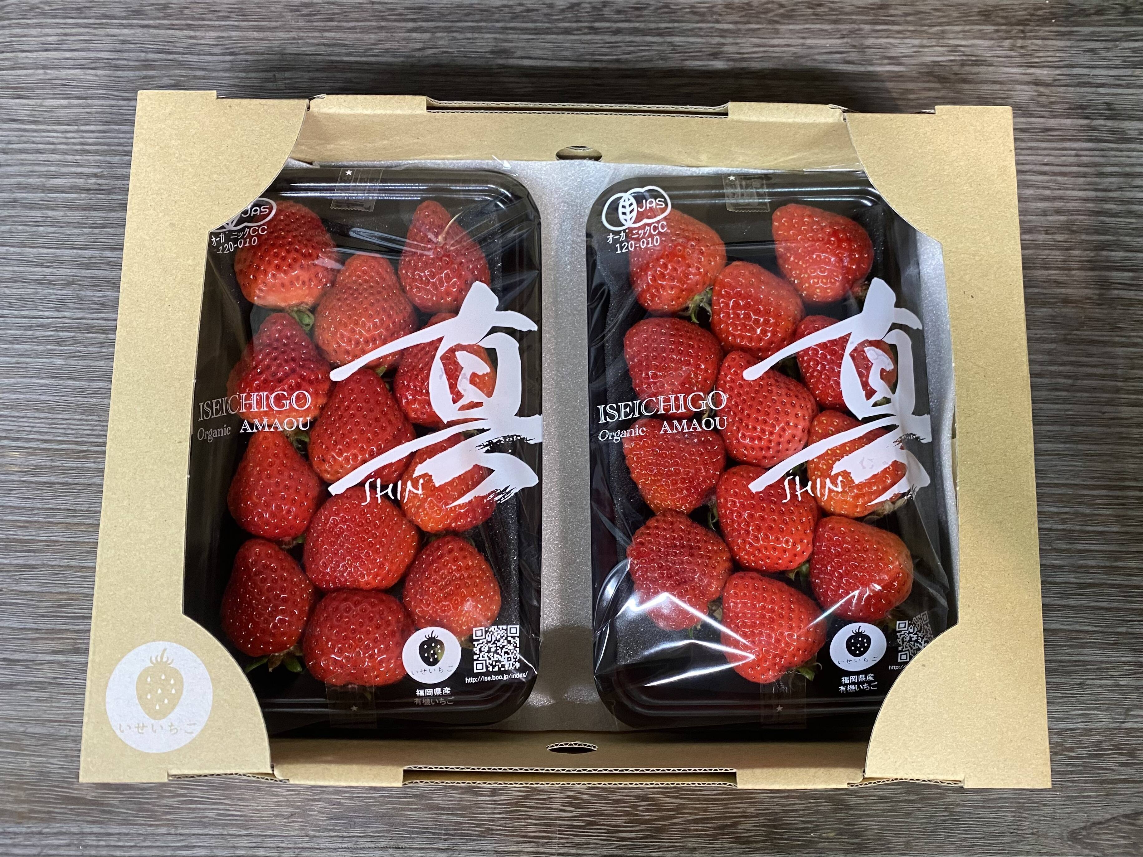 オーガニックあまおう 200g×2パック(ヤマト60サイズ)：福岡県産の