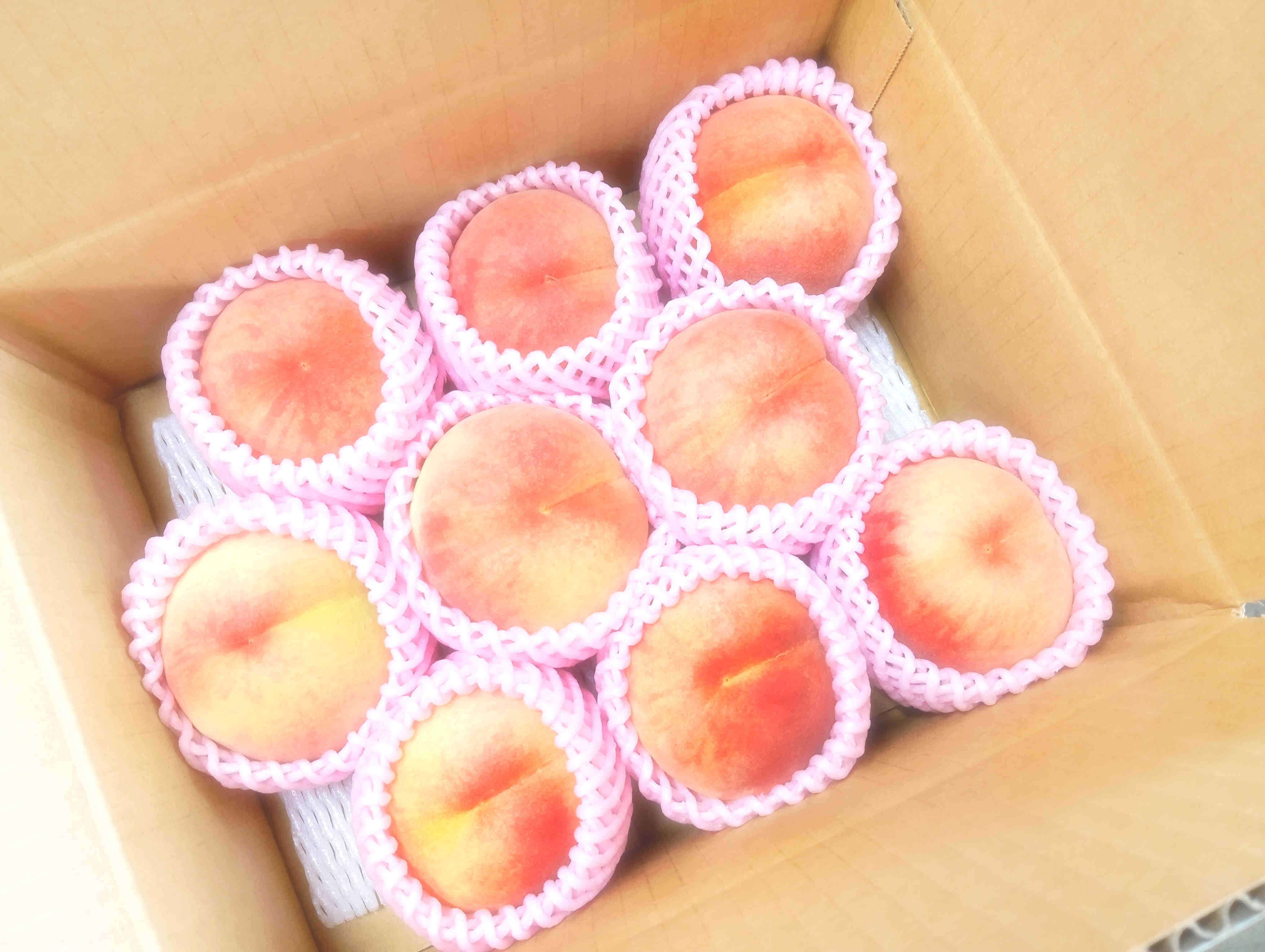 この時期でまだ楽しめる！ おどろき 4kg(2kg×2箱) ご家庭用 山形