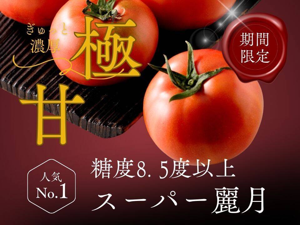 糖度8.5度以上】極甘スーパー麗月1kg：宮城県産の麗月｜食べチョク