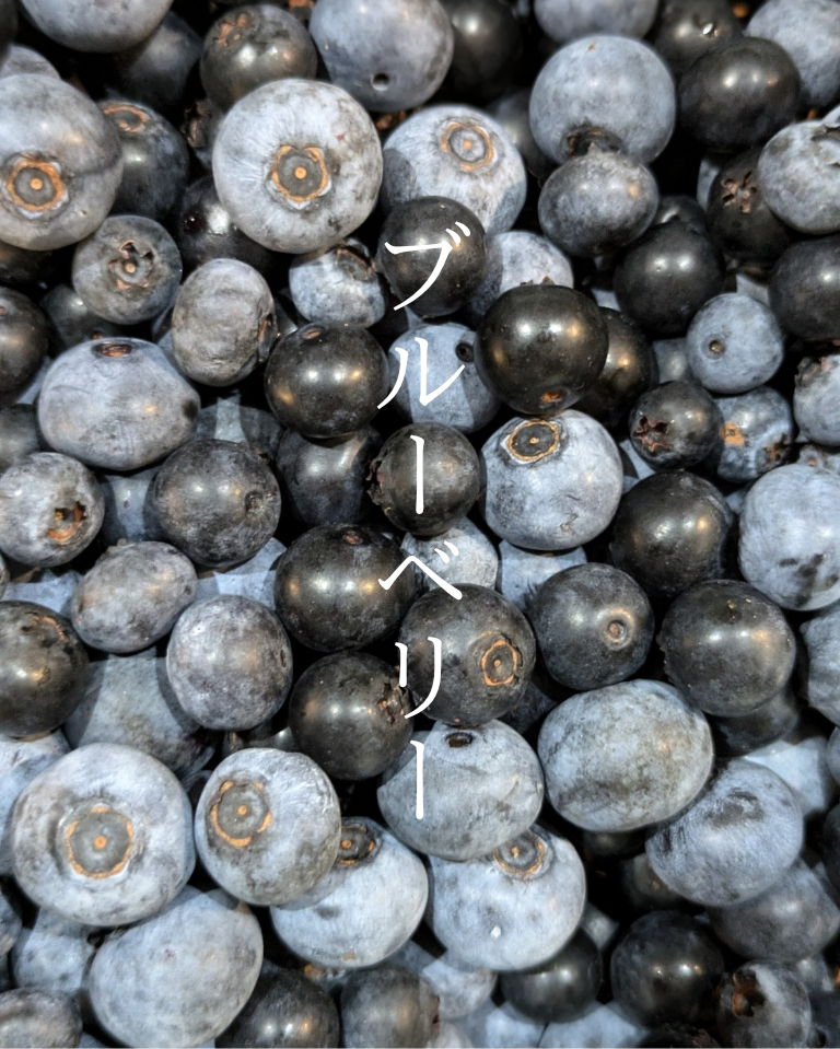 大崎上島産】【1000g】朝採れ生ブルーベリー【農薬不使用】：広島県産