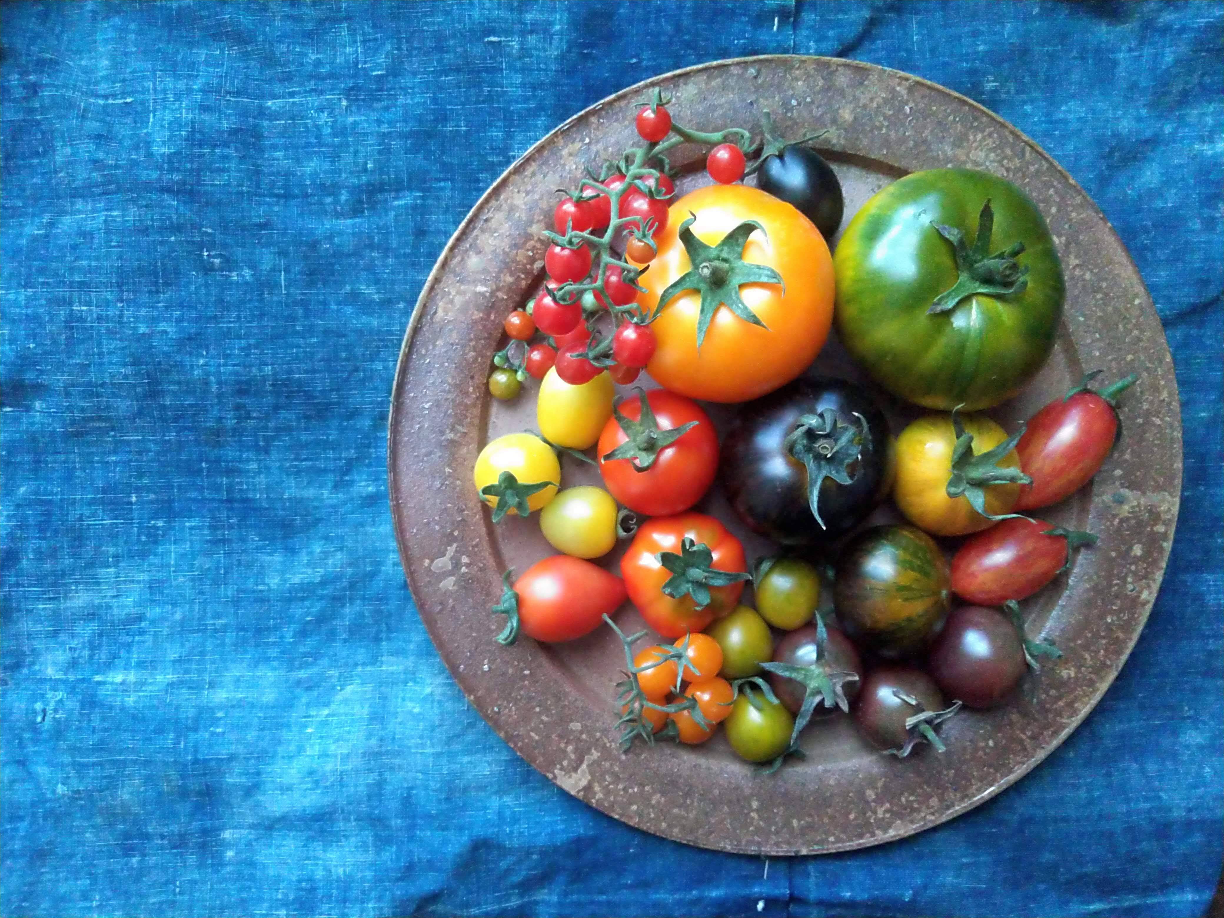 eba49c66e3c94d5be456942ce81bf6