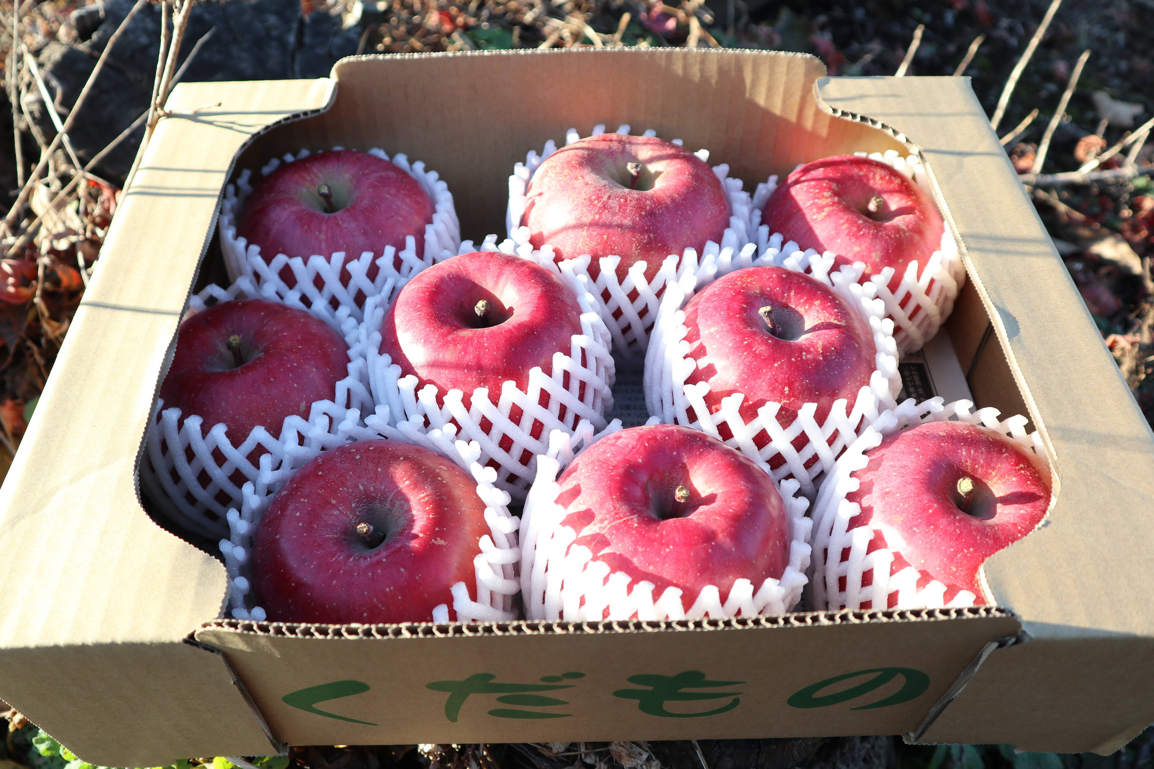 ebc0e9882b43c46167c7edd85820d6