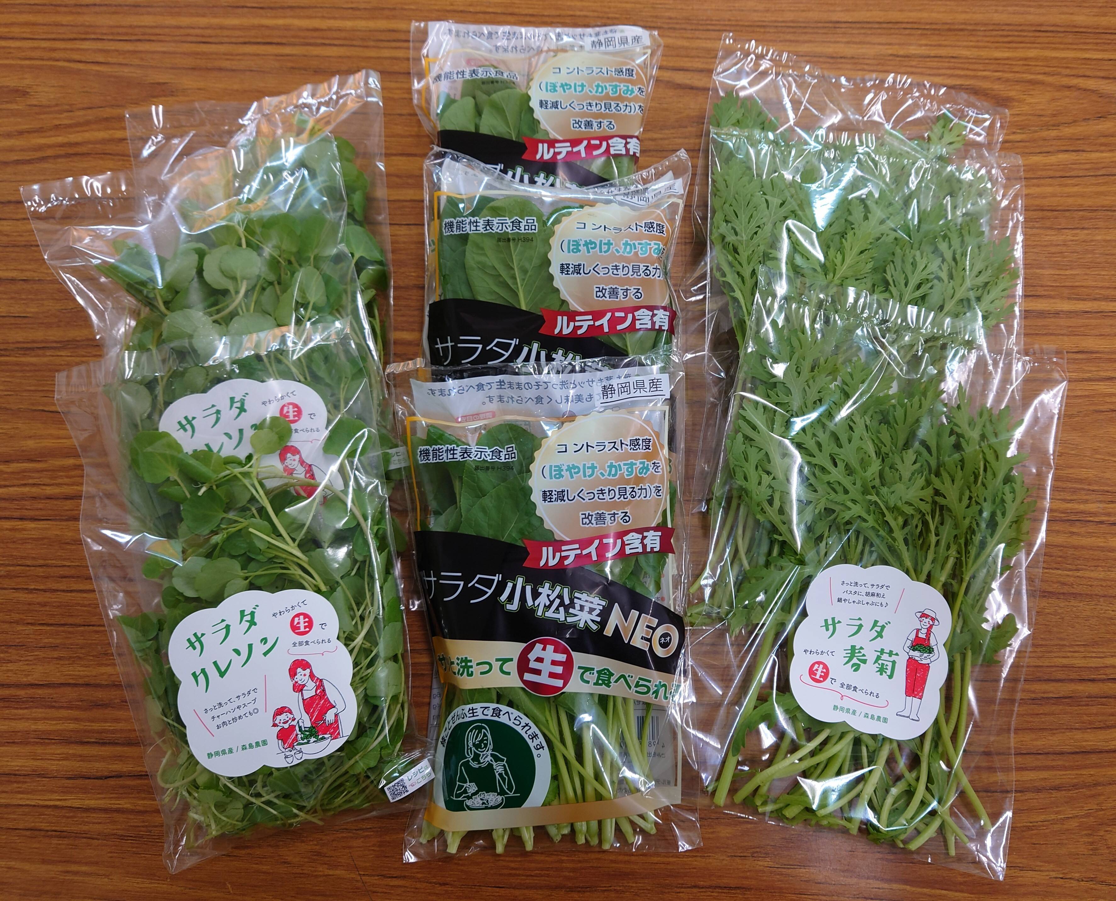 季節の野菜 野菜のプロが厳選！おまかせ季節の野菜セット【錦市場厳選セット】