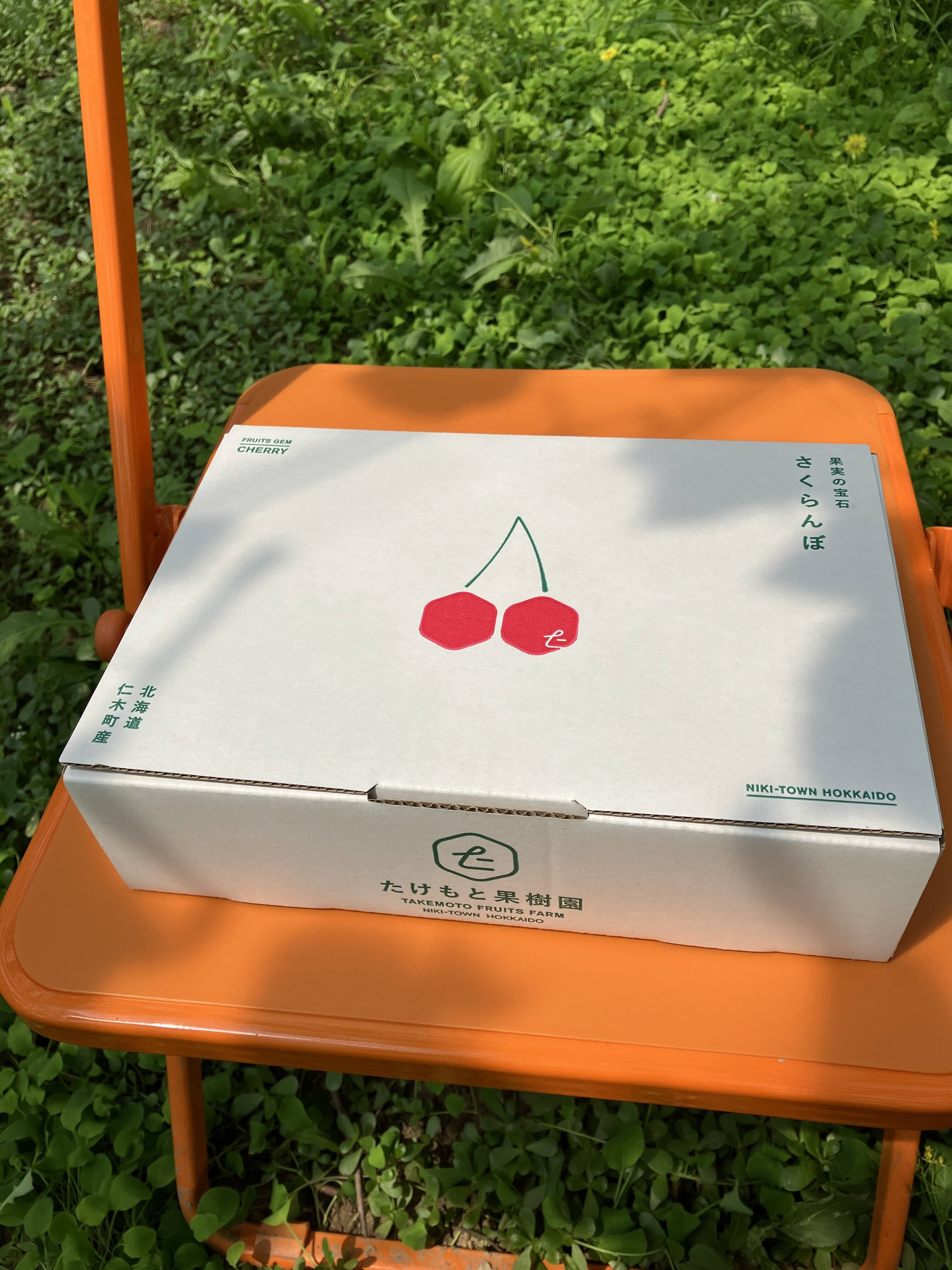 予約】北海道仁木町産さくらんぼ（佐藤錦）350gx2パック：北海道産