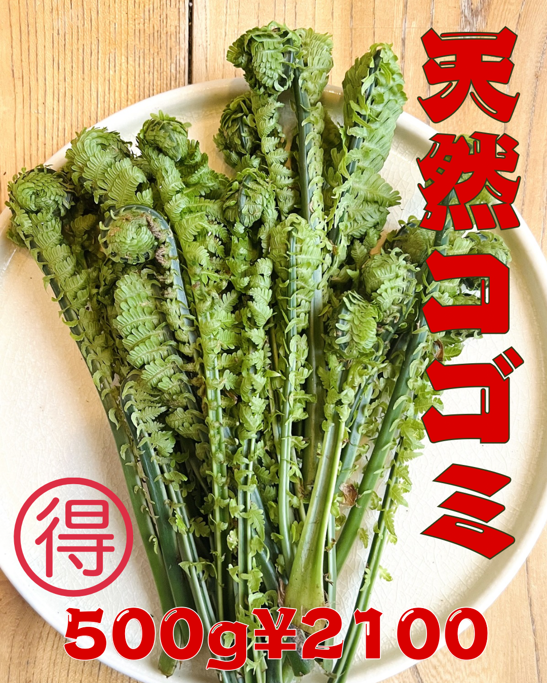 森で採ってくる天然コゴミ 500gセット：福島県産のこごみ｜食べチョク