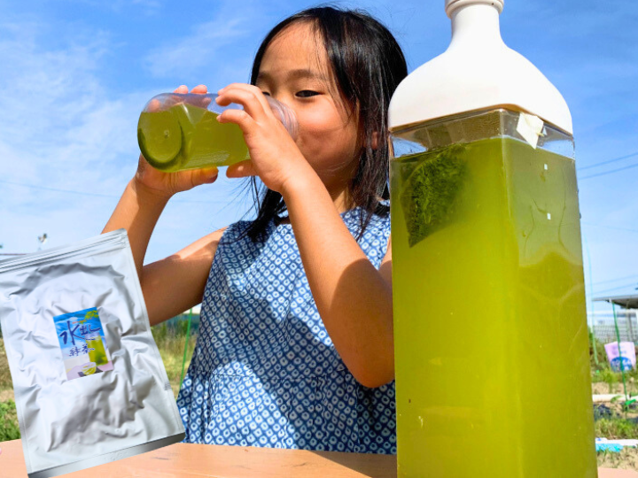 水出し緑茶 楽天市場】特撰水出し煎茶ティーバッグ 4g×20P 水出し茶 水出し