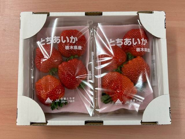 特大とちあいか』フレーズのこだわりいちご280g×2パック：栃木県産のと