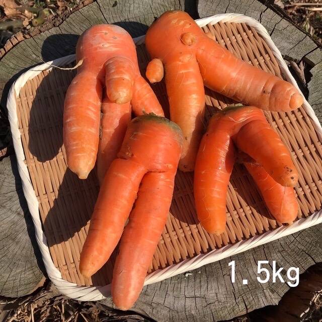 自然栽培】訳あり黒田五寸にんじん1.5kg：徳島県産の黒田五寸｜食べ