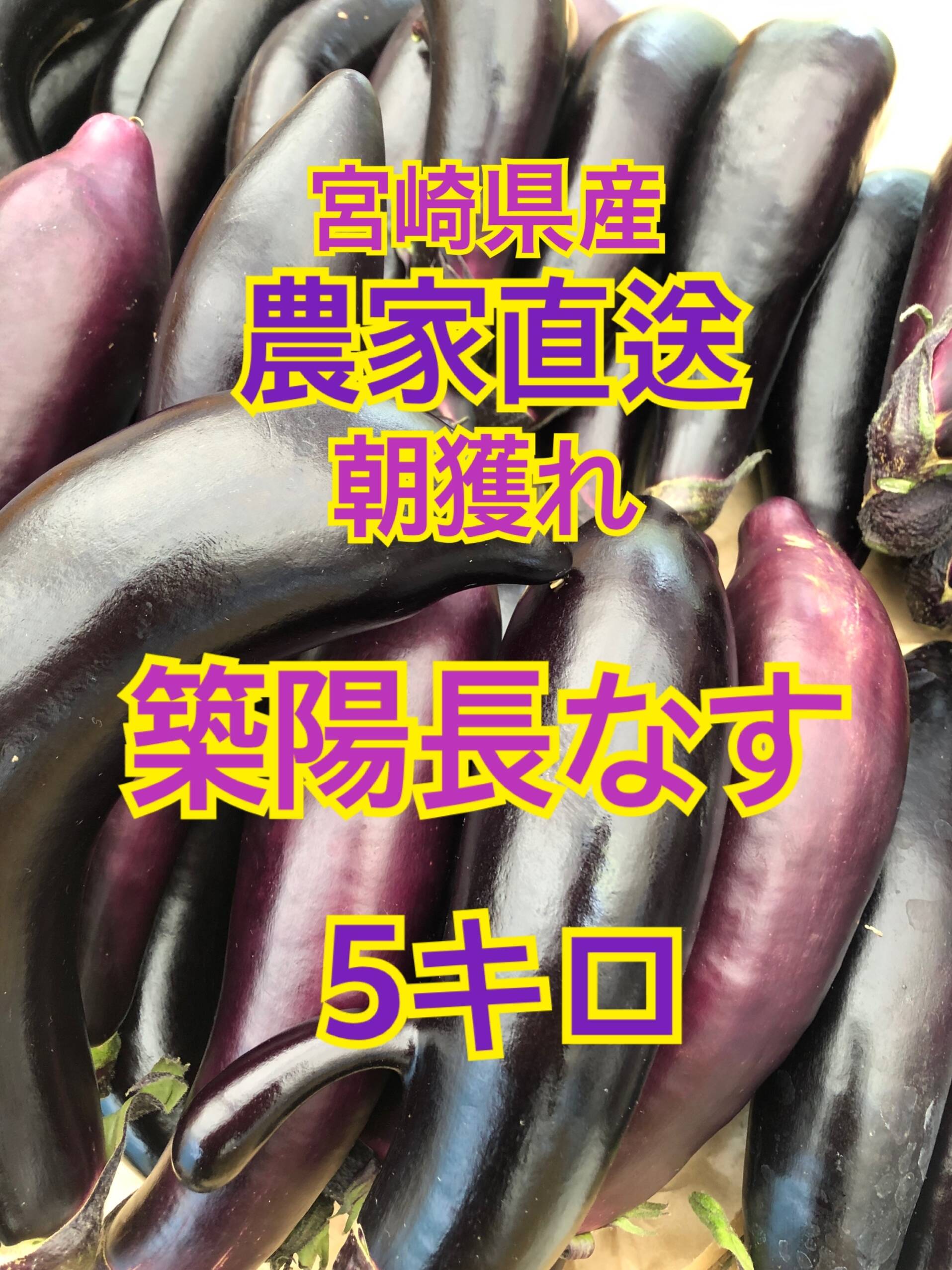 ナス 5キロ 宮崎県産【25〜30本】：宮崎県産のナス｜食べチョク｜産地