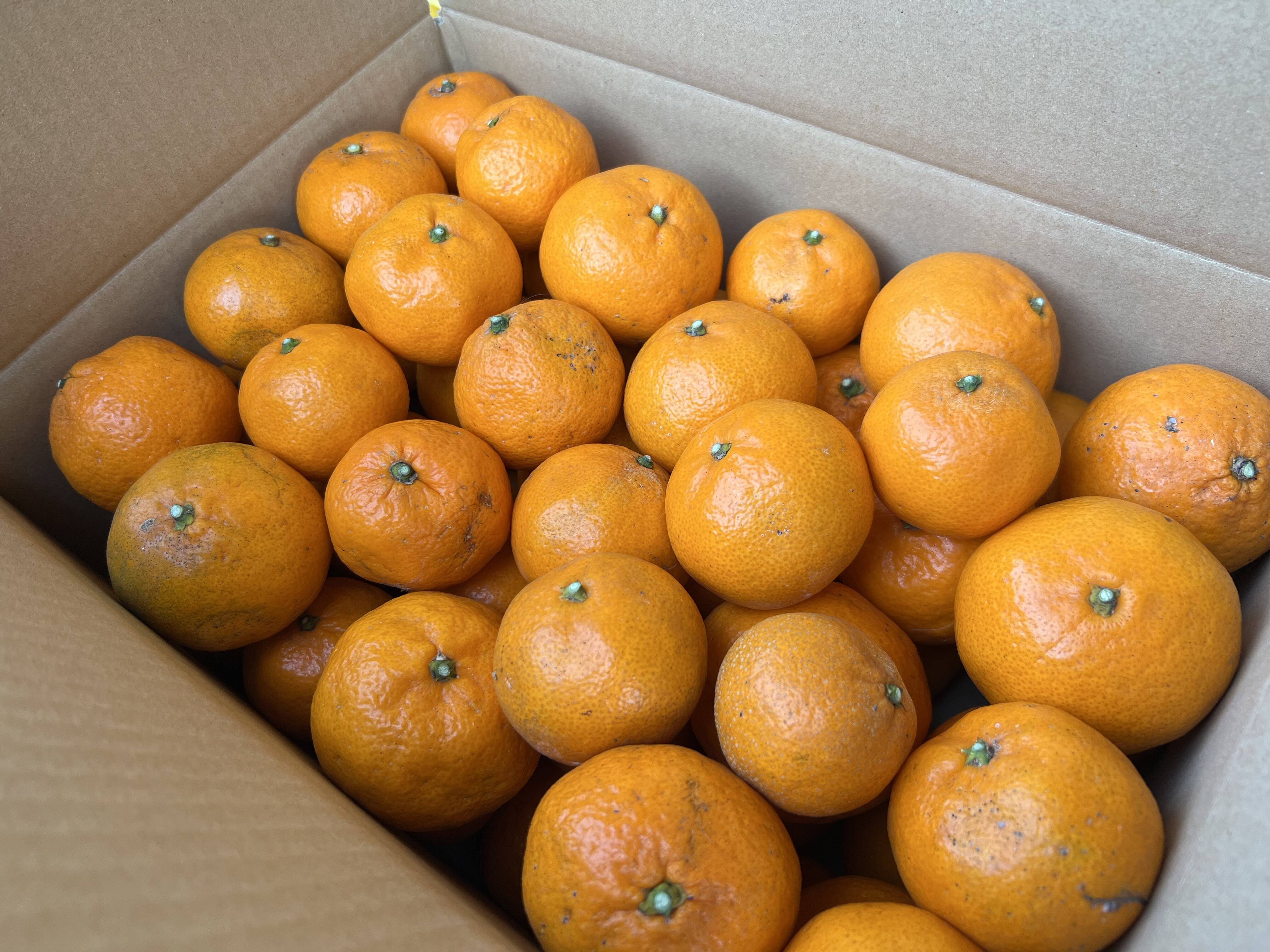 ecedef431380358265b98392c0cb2e