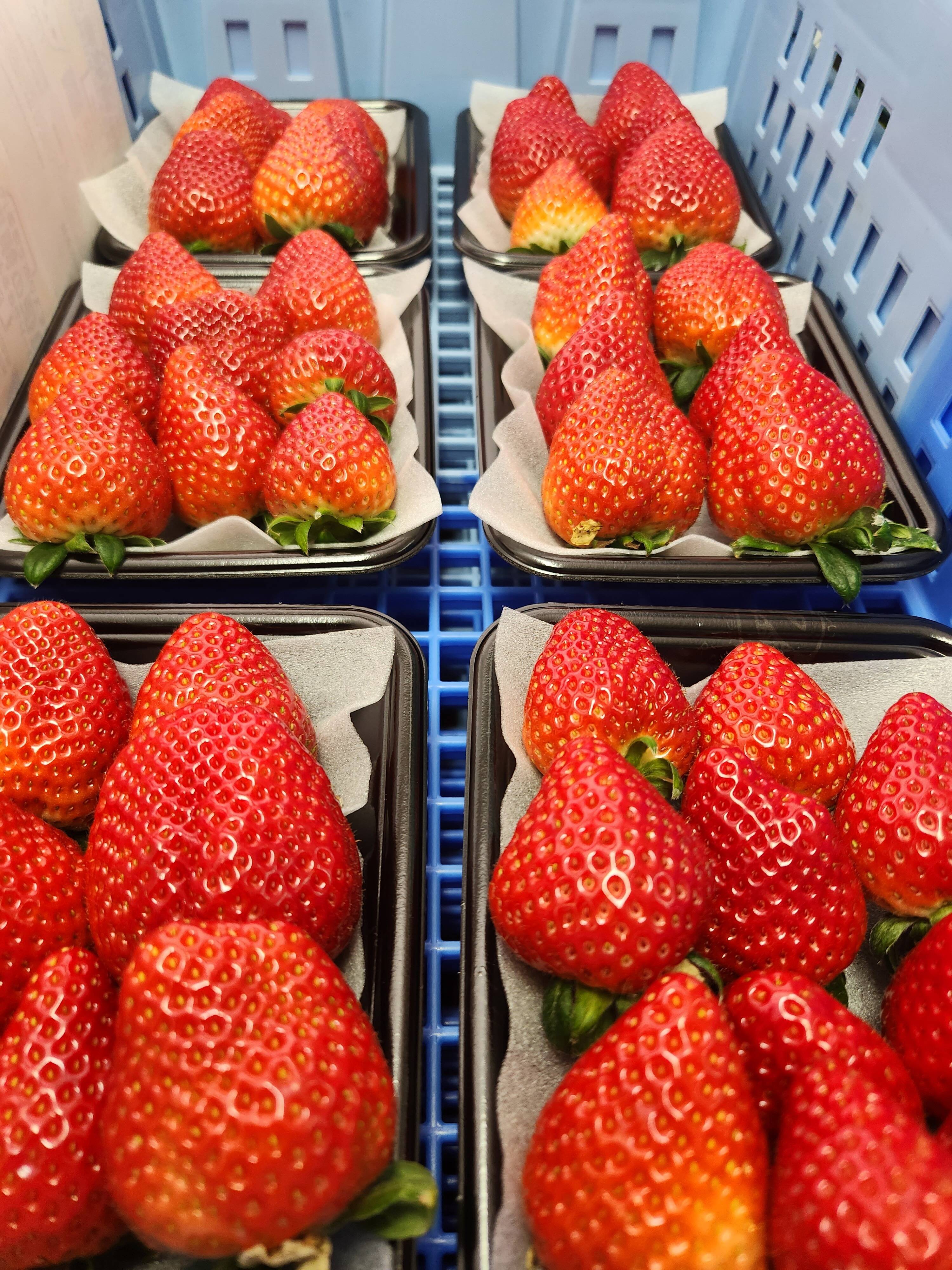 ed28564166bef1a505c1b1a7cb4f0f