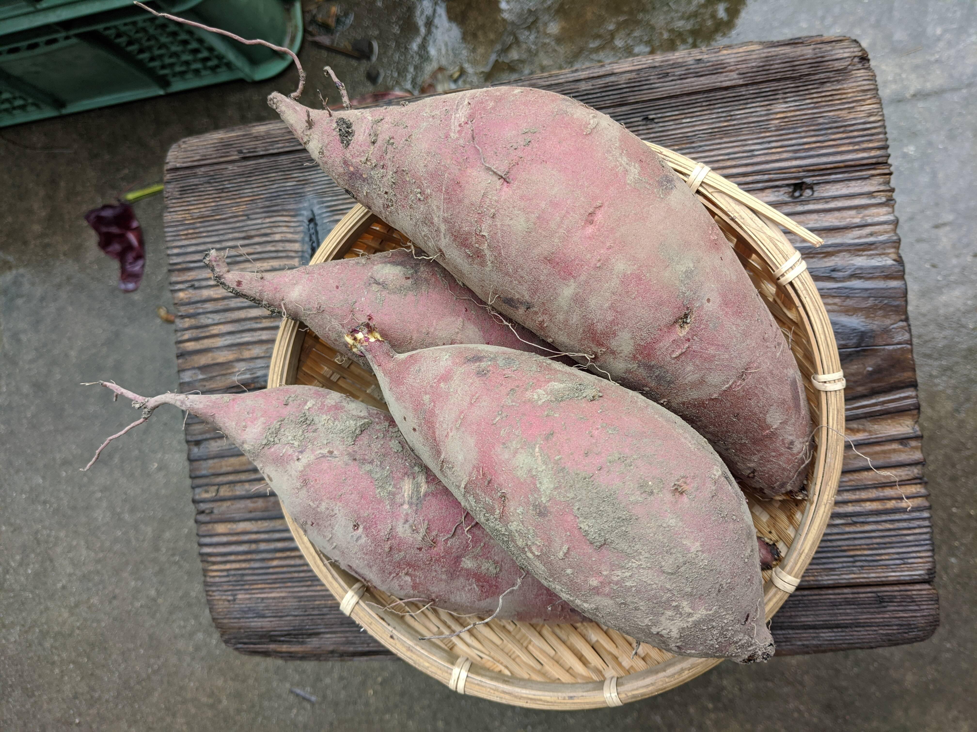 農薬、化学肥料不使用】さつまいも(カラユタカ) 3kg：三重県産の