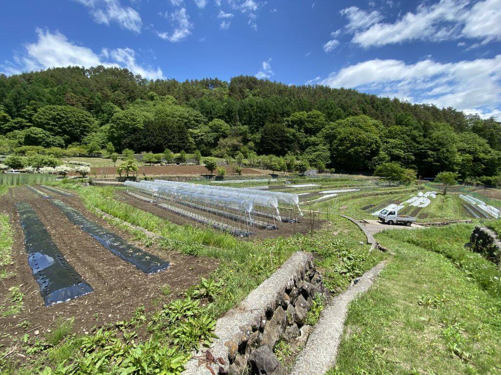 ナチュラルハートへのレビュー・商品：山梨県｜食べチョク｜産地直送
