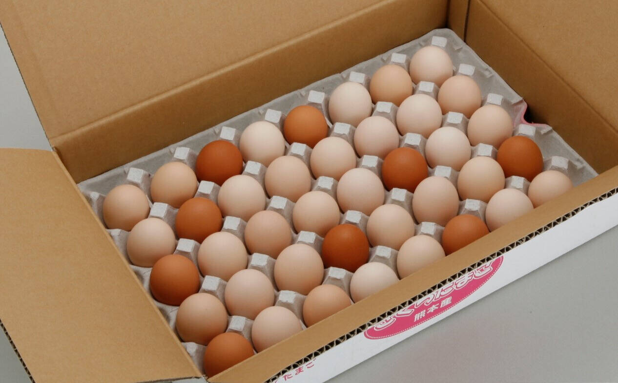 通年常温便専用】ぷりっと新鮮♪安心たまご！さくらたまごM45個入